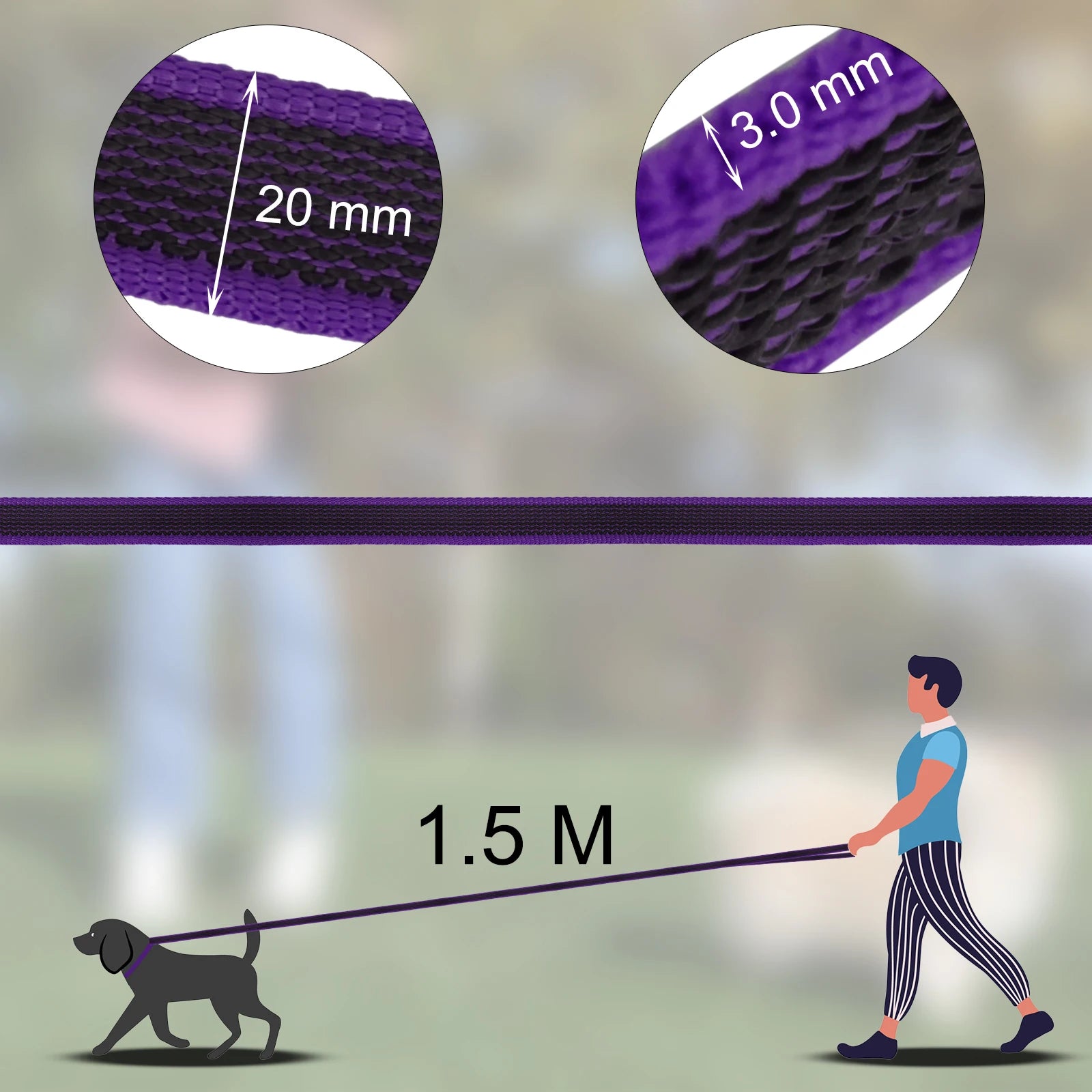 Training - Recall Lead - 2Tails