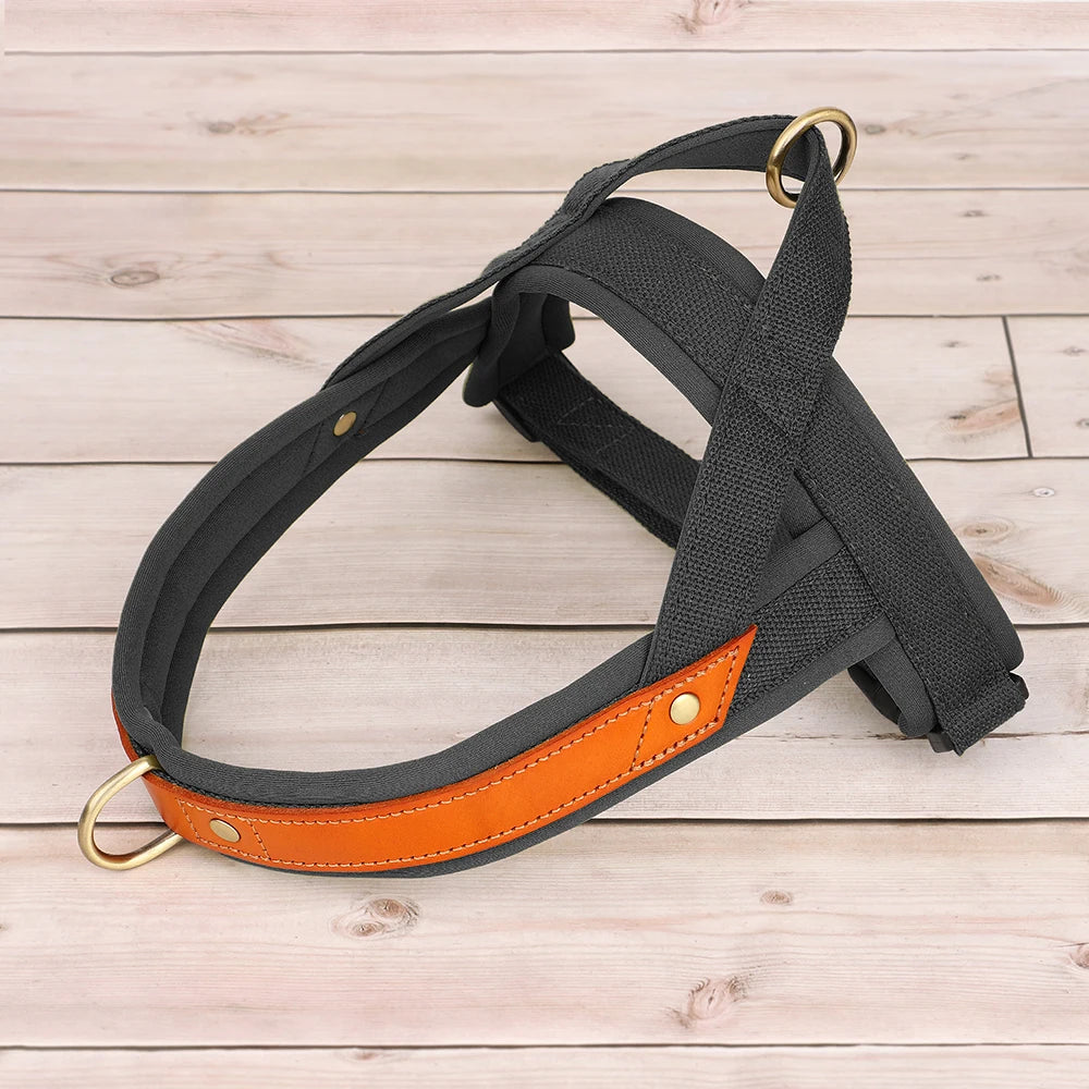 Harness - Soft Padded - 2Tails