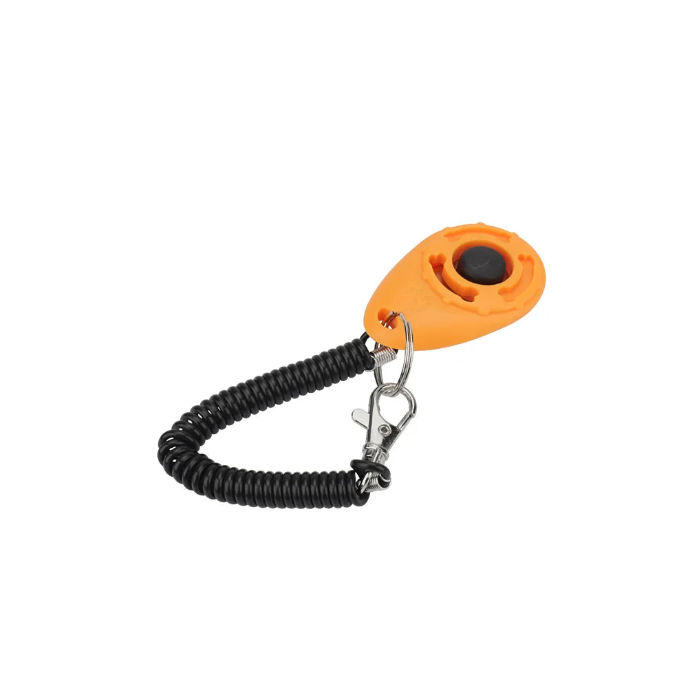 Training - Clicker - 2Tails