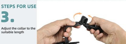 Collar - With Air Tag Holder Built In ( Air Tag Comes Separately ) - 2Tails