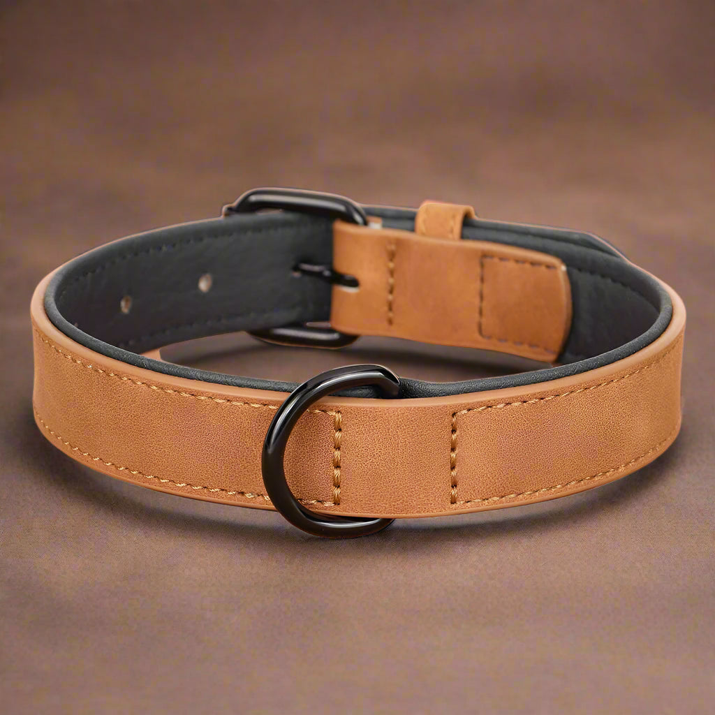 Dog Collar - Leather Soft Padded - 2Tails