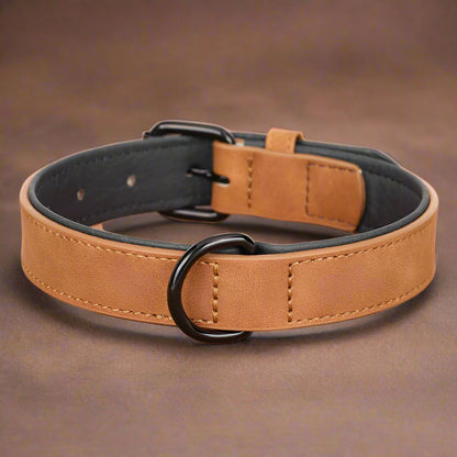 Dog Collar - Leather Soft Padded - 2Tails