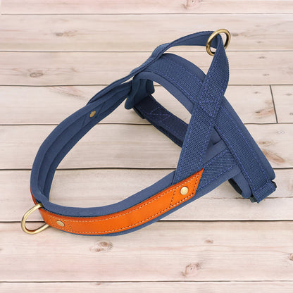 Harness - Soft Padded - 2Tails