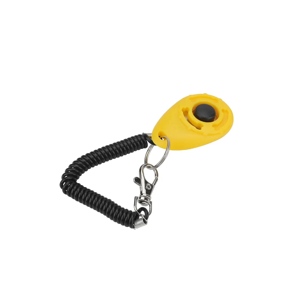 Training - Clicker - 2Tails