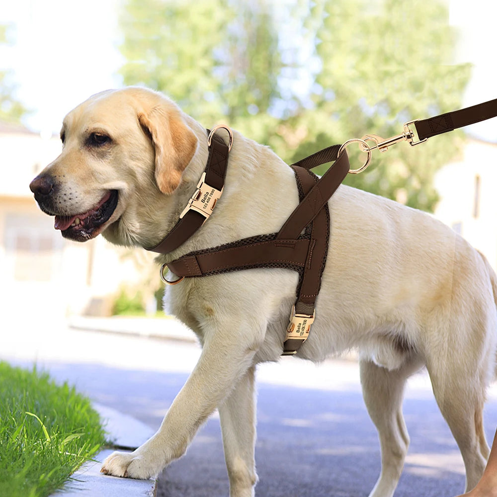 Personalised Dog - Collar, Harness & Lead Set