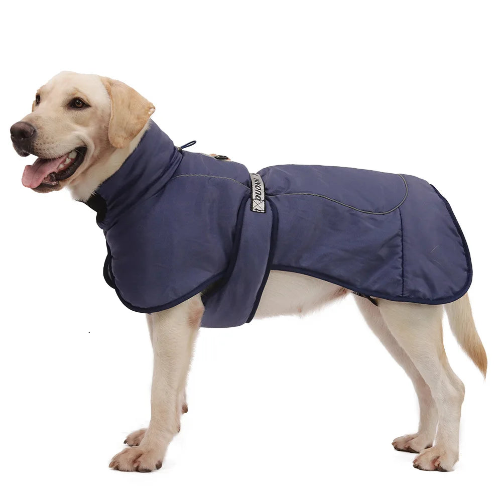 Clothing - Big Dog Jacket - 2Tails