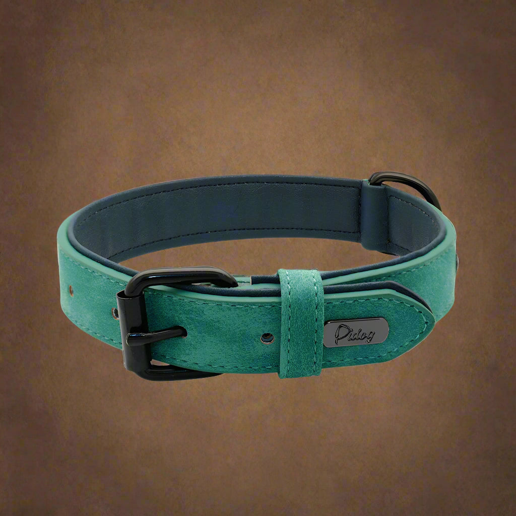 Dog Collar - Leather Soft Padded - 2Tails