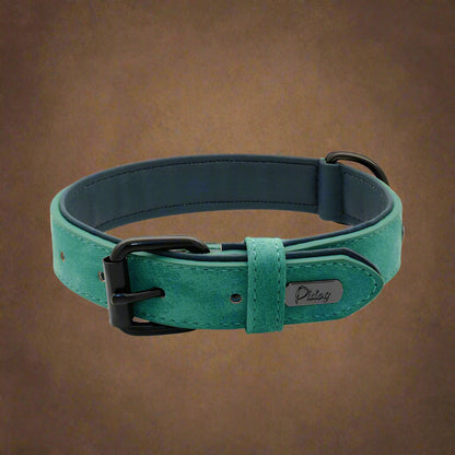 Dog Collar - Leather Soft Padded - 2Tails