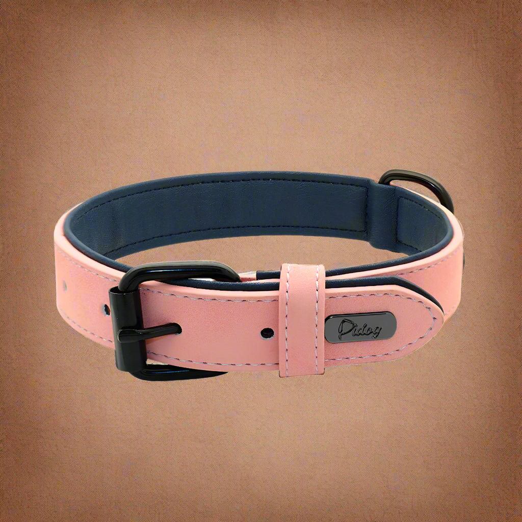 Dog Collar - Leather Soft Padded - 2Tails
