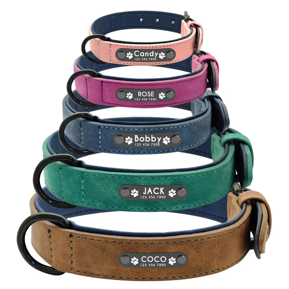 Dog Collar - Personalised - 2Tails