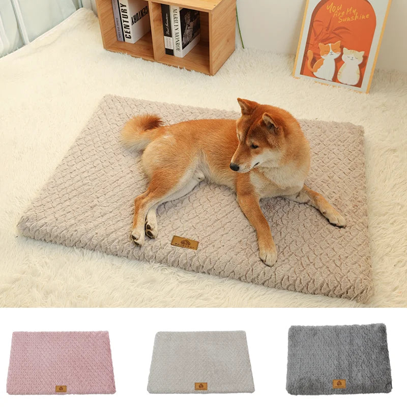 Dog Bed - Orthopaedic - Flat - 2Tails