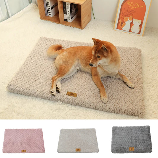 Dog Bed - Orthopaedic - Flat - 2Tails