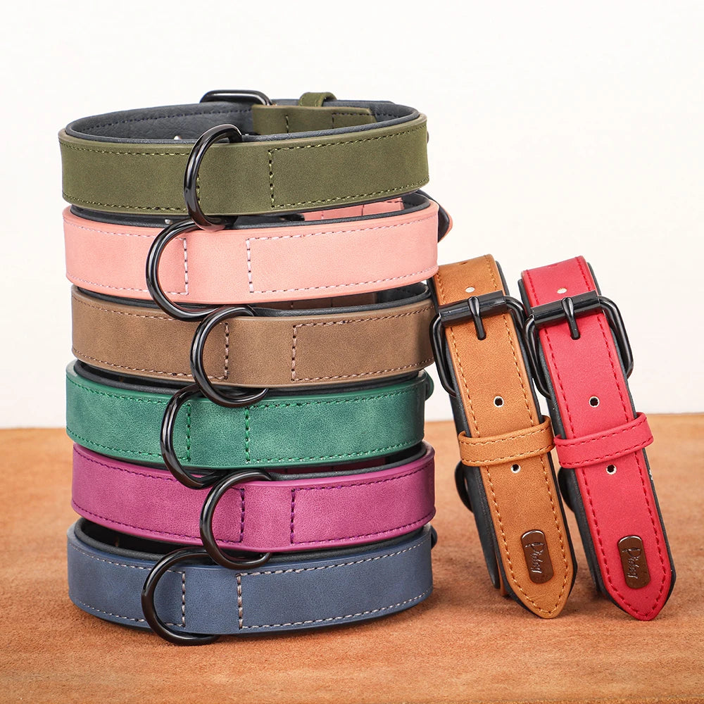 Dog Collar - Leather Soft Padded - 2Tails