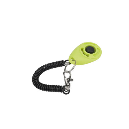Training - Clicker - 2Tails