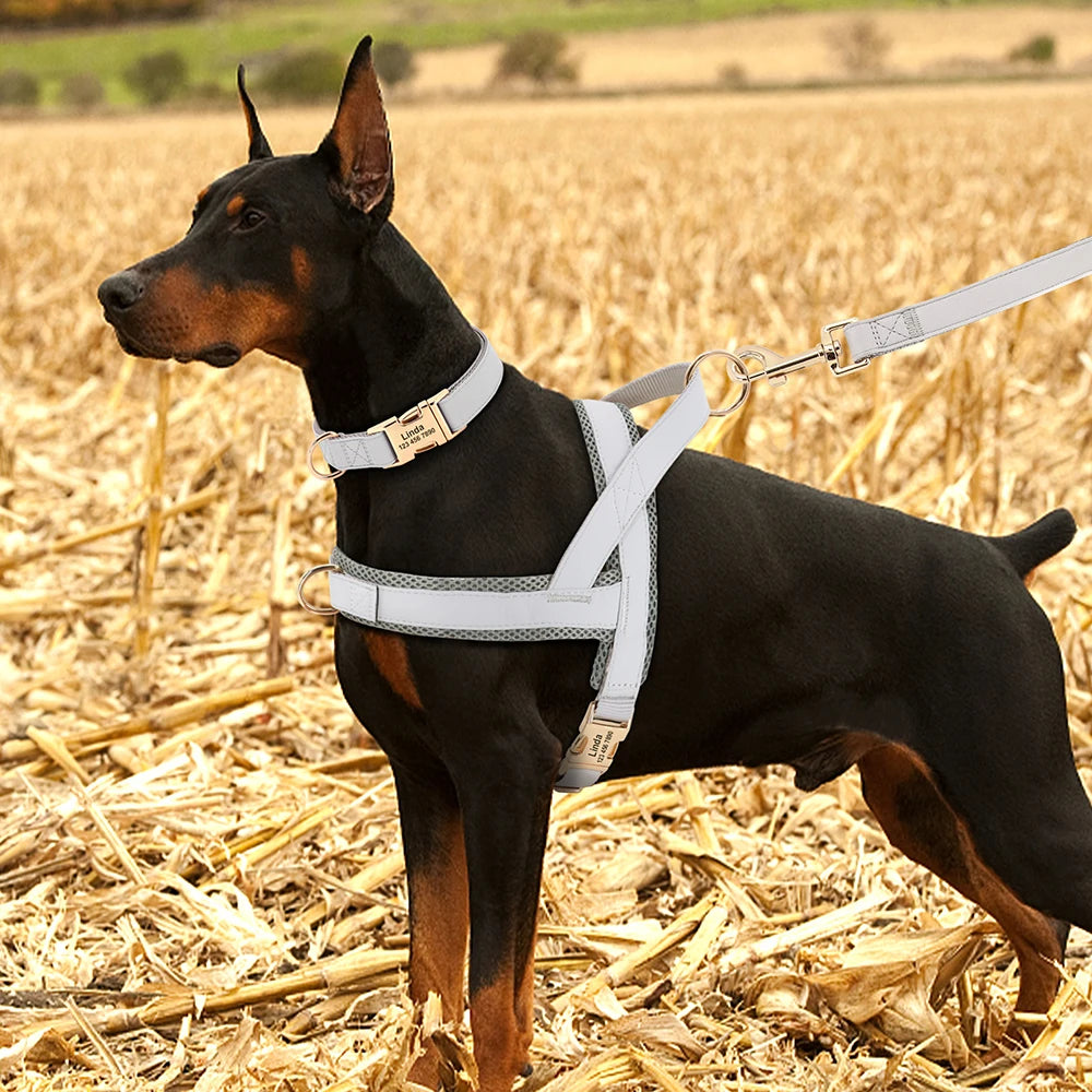 Personalised Dog - Collar, Harness & Lead Set