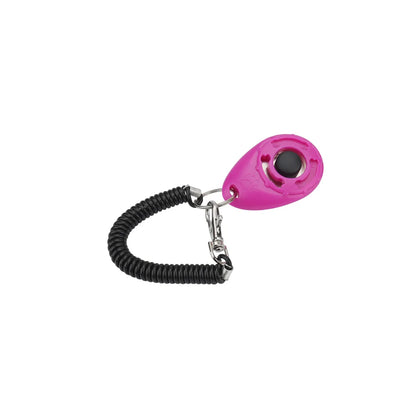 Training - Clicker - 2Tails