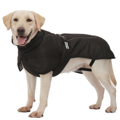 Clothing - Big Dog Jacket - 2Tails