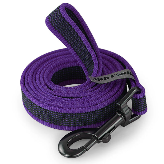 Training - Recall Lead - 2Tails