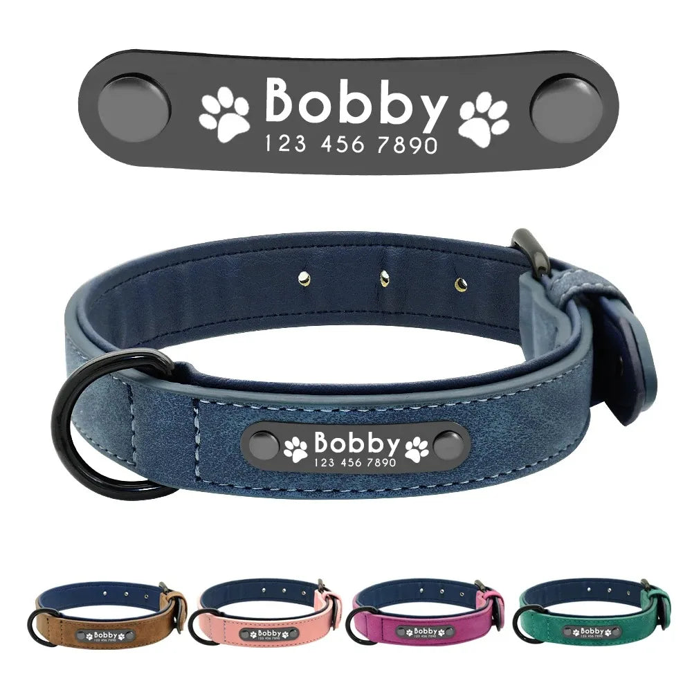 Dog Collar - Personalised - 2Tails