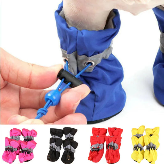 Clothing - Dog Boots - 2Tails