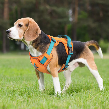 Harness - Training Vest - 2Tails