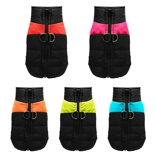 Clothing - Small - Medium Jacket - 2Tails