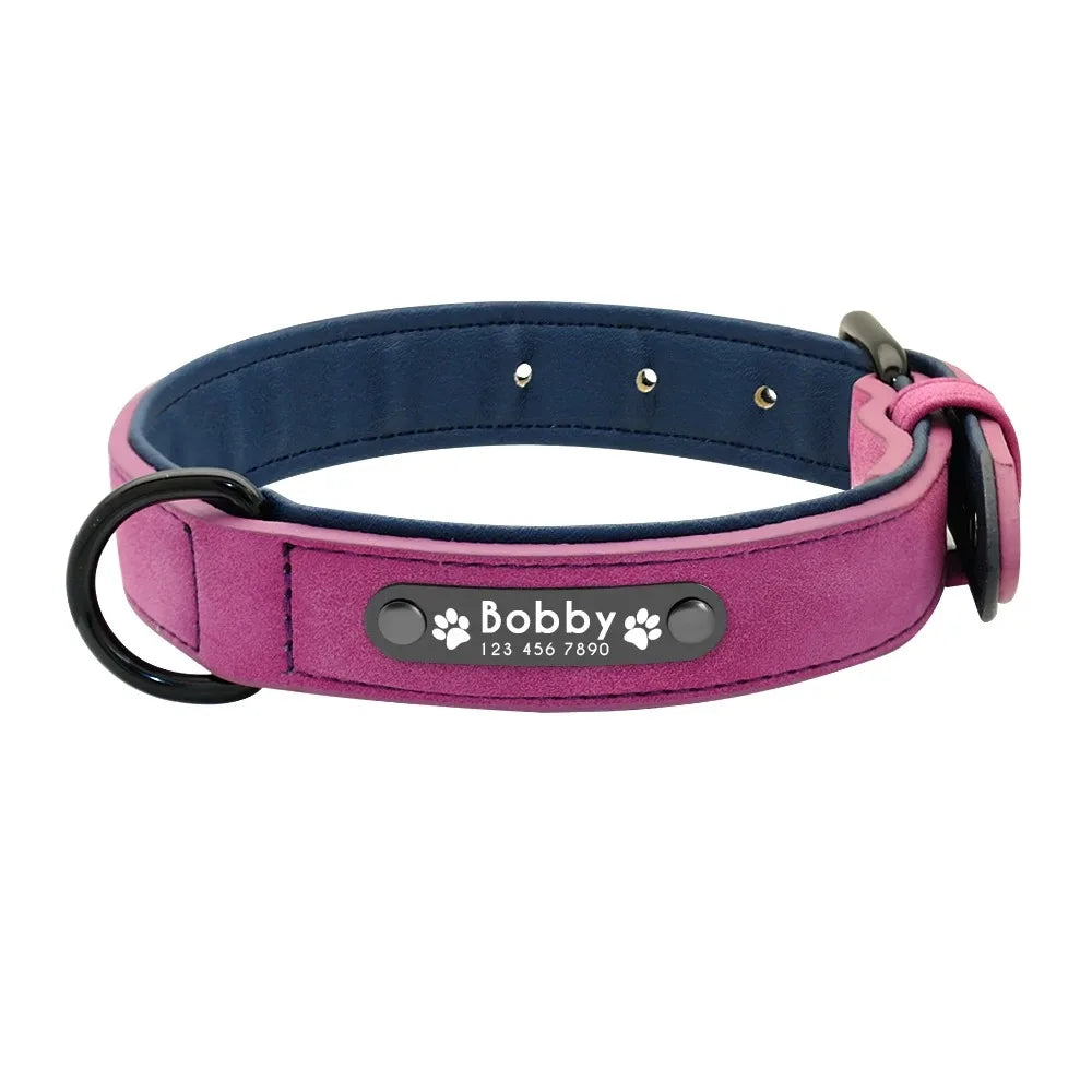 Dog Collar - Personalised - 2Tails