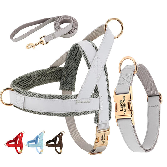 Personalised Dog - Collar, Harness & Lead Set
