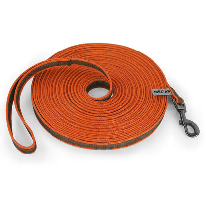 Training - Recall Lead - 2Tails