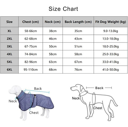 Clothing - Big Dog Jacket - 2Tails