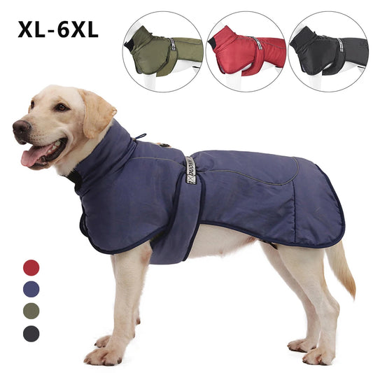 Clothing - Big Dog Jacket - 2Tails