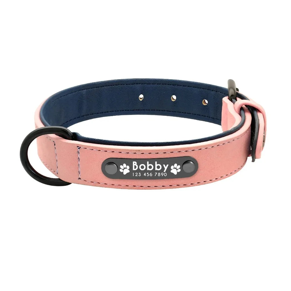 Dog Collar - Personalised - 2Tails