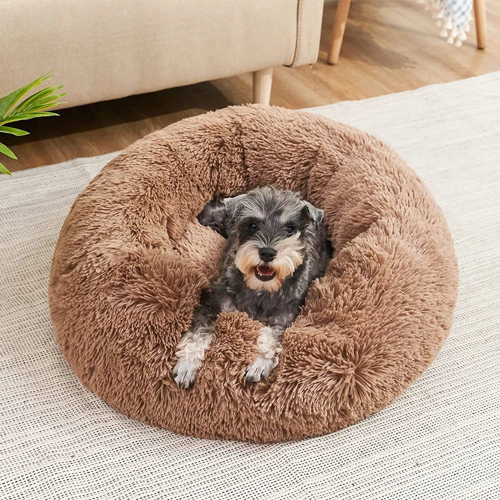 donut-dog-bed