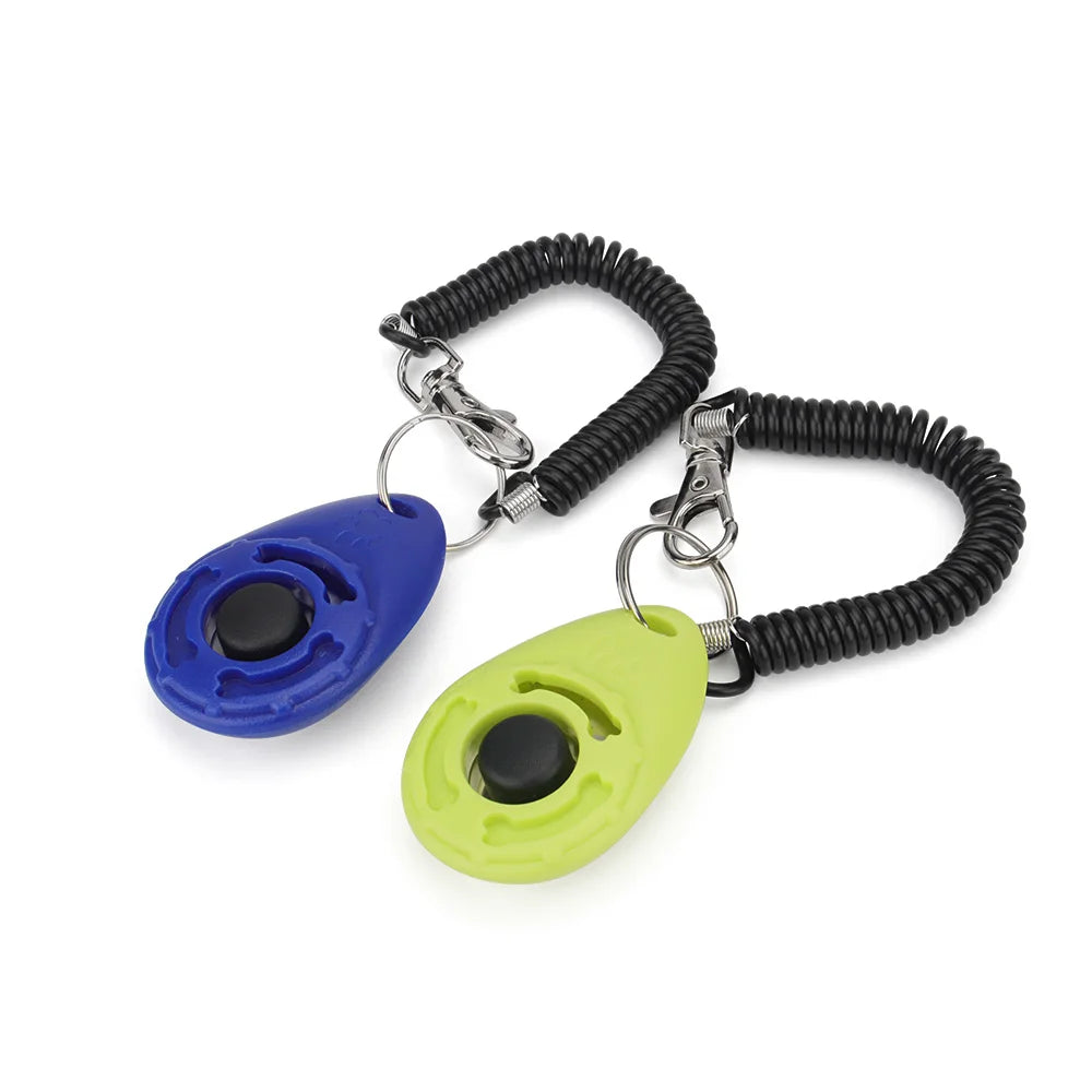 Training - Clicker - 2Tails