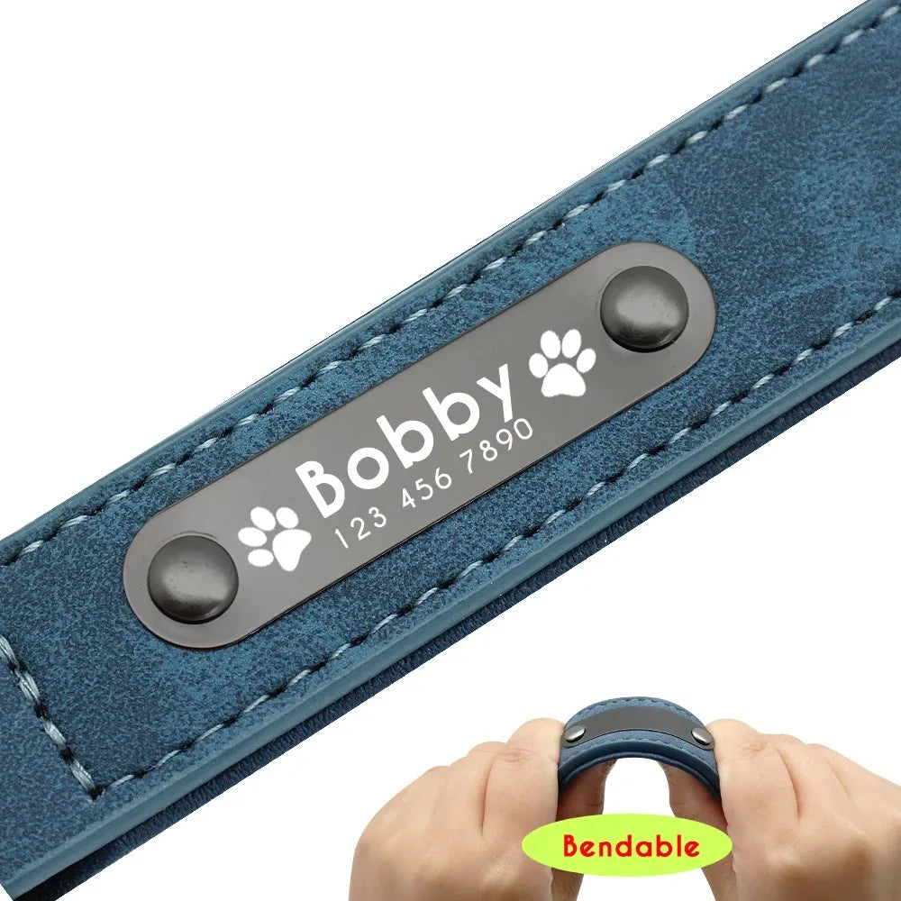 Dog Collar - Personalised - 2Tails