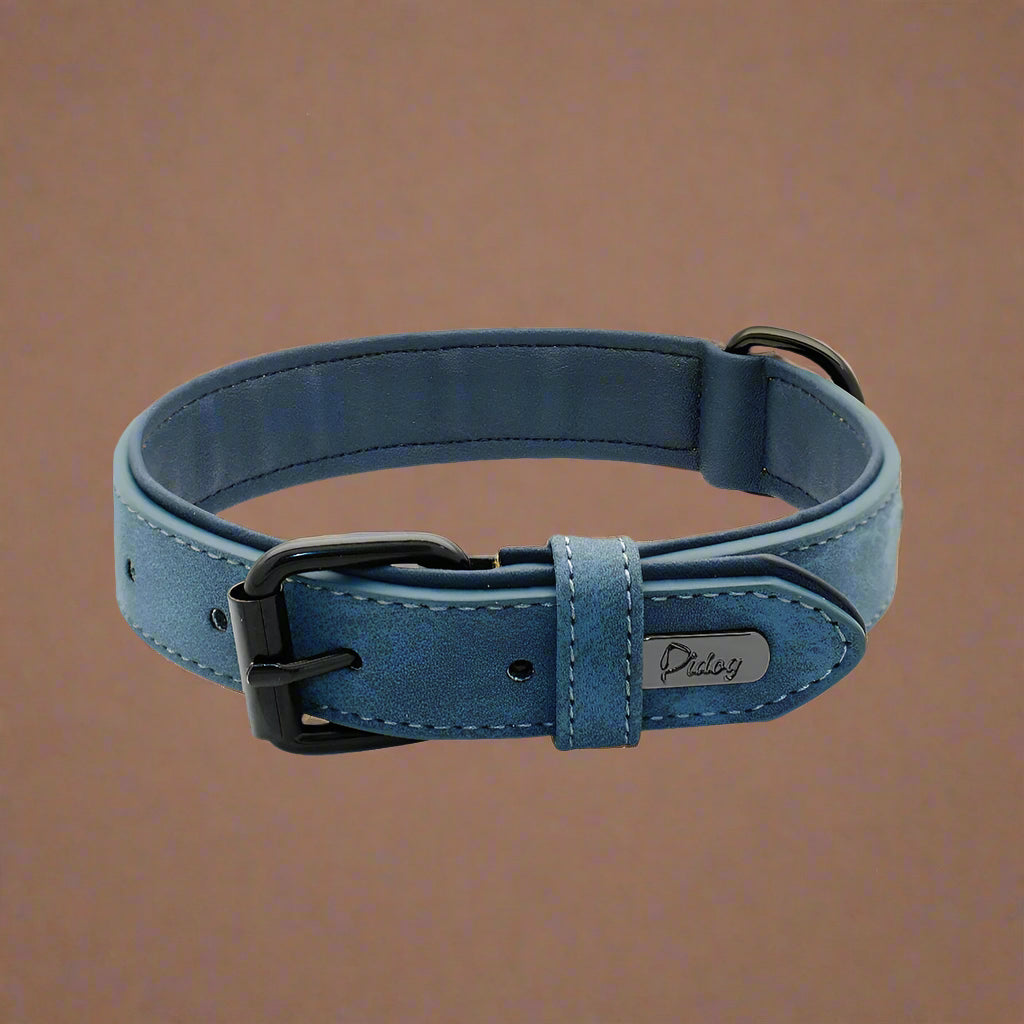 Dog Collar - Leather Soft Padded - 2Tails