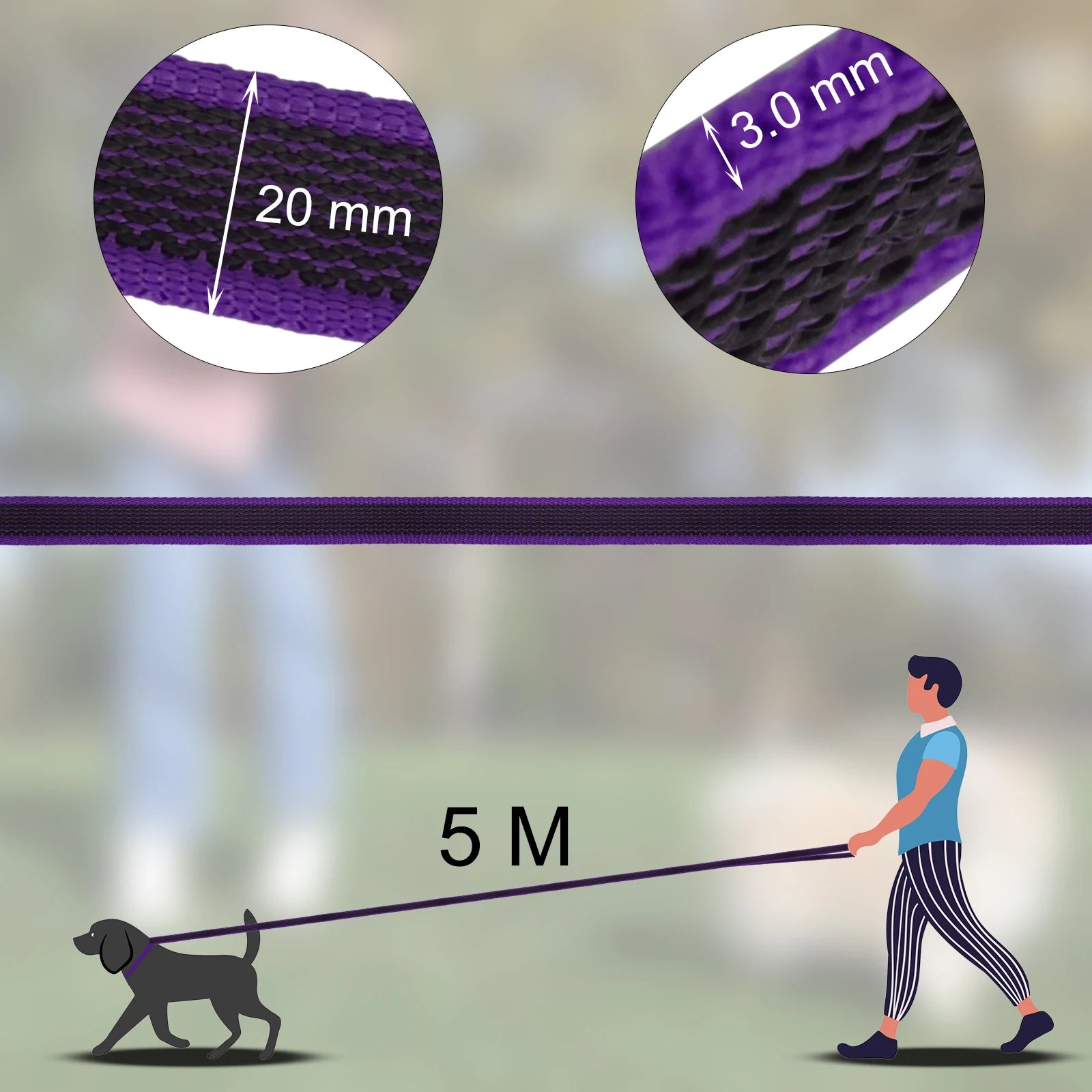 Training - Recall Lead - 2Tails