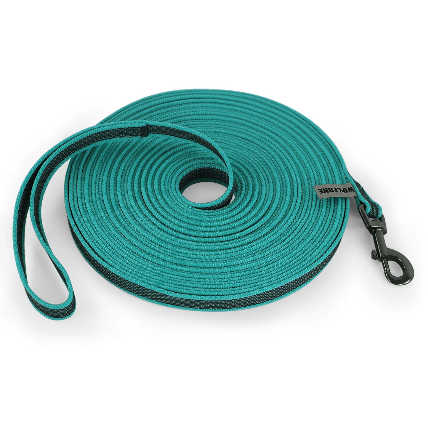 Training - Recall Lead - 2Tails