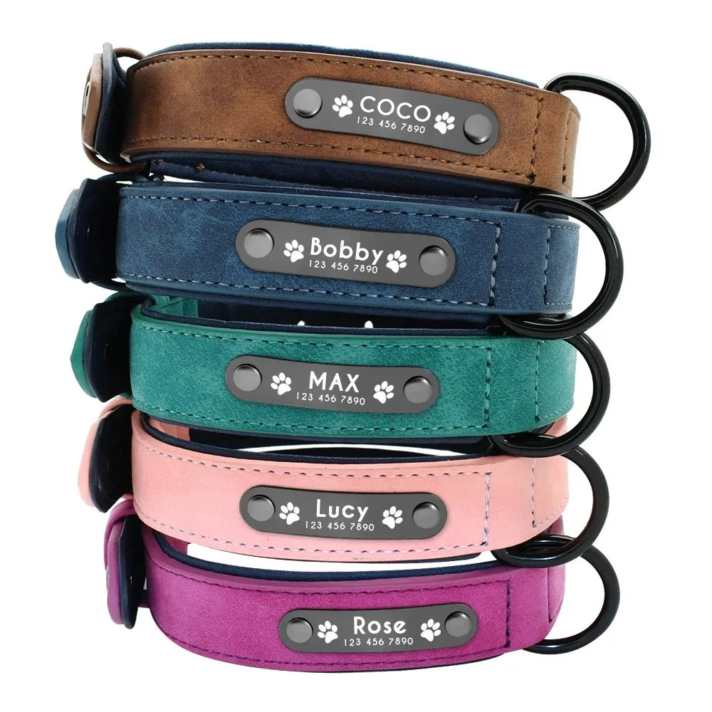 Dog Collar - Personalised - 2Tails