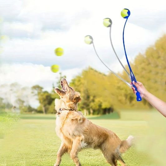 Training - Tennis Ball Launcher - 2Tails