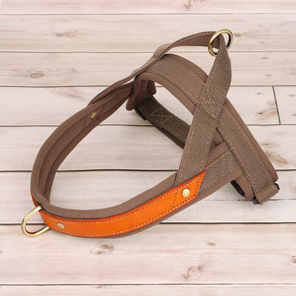 Harness - Soft Padded - 2Tails