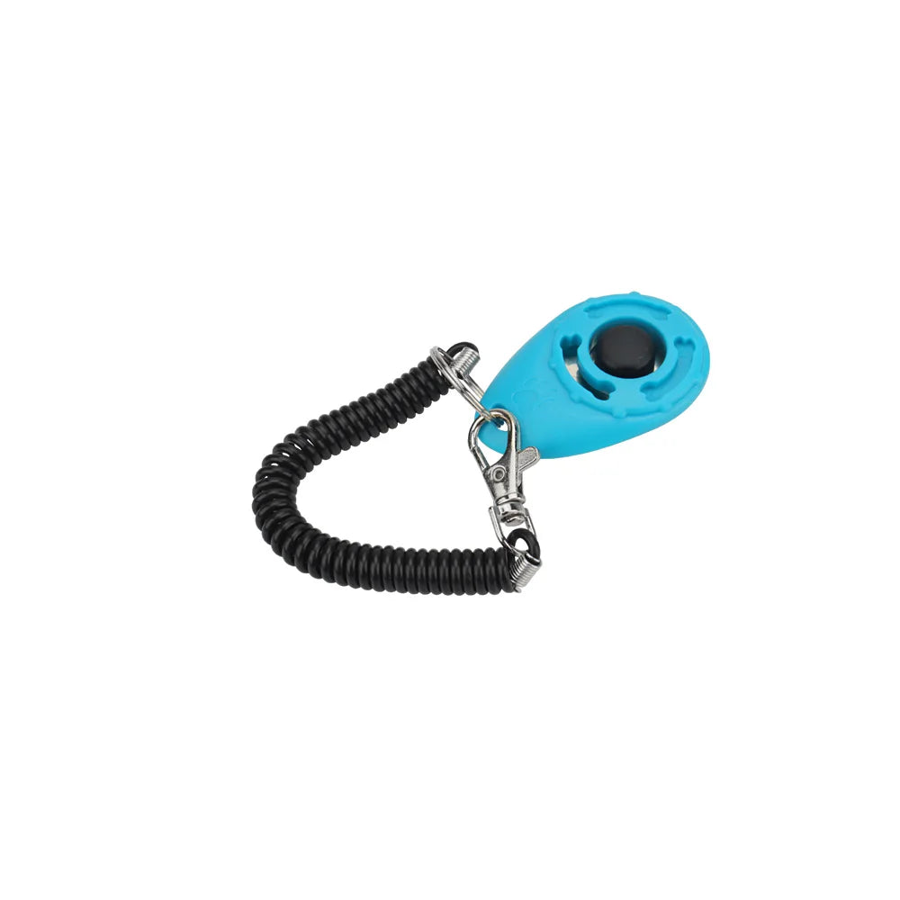 Training - Clicker - 2Tails