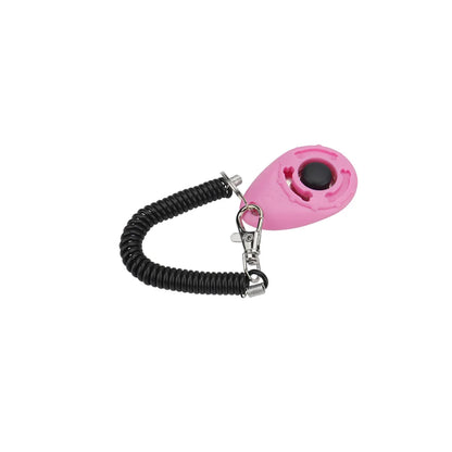 Training - Clicker - 2Tails