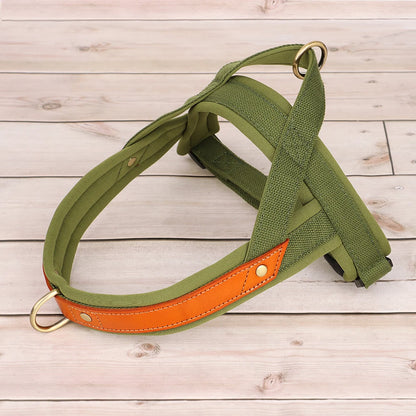 Harness - Soft Padded - 2Tails