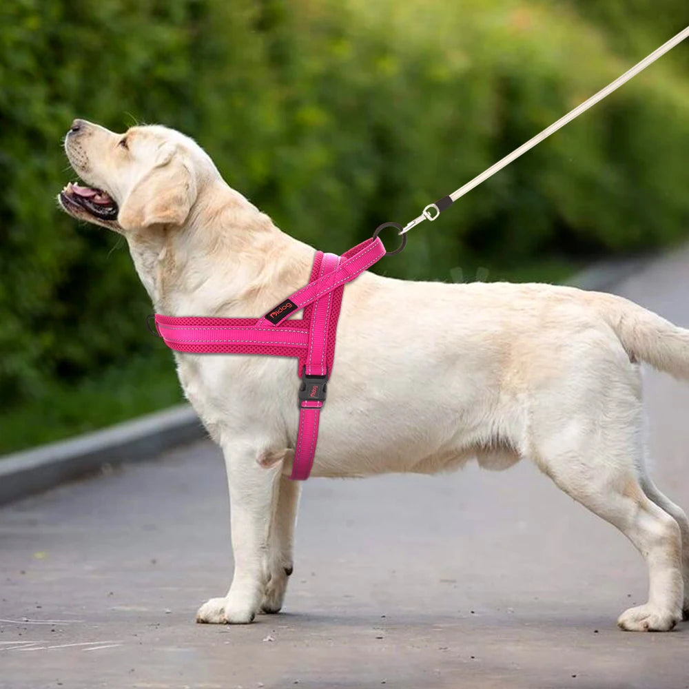 Harness - Soft Padded - 2Tails