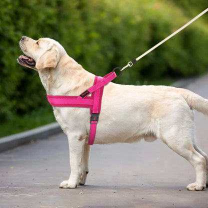 Harness - Soft Padded - 2Tails