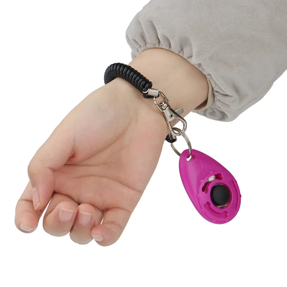Training - Clicker - 2Tails