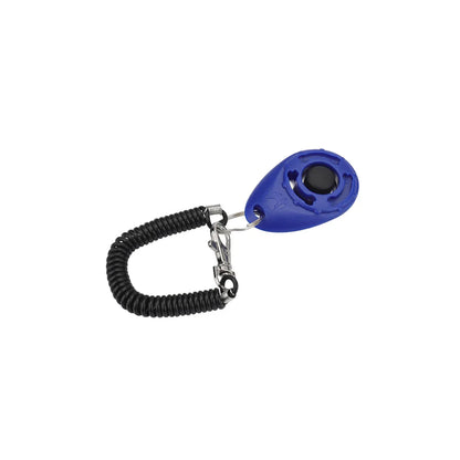 Training - Clicker - 2Tails