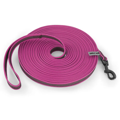 Training - Recall Lead - 2Tails