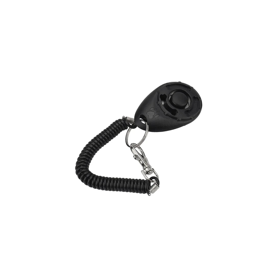 Training - Clicker - 2Tails